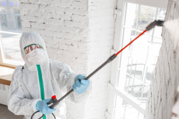 Best Indoor Air Quality Assessment  in Fremont, NE