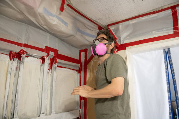 Best Mold Removal for HVAC Installations  in Fremont, NE