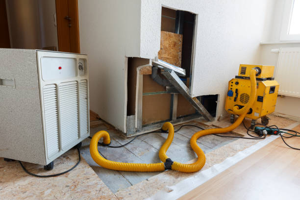 Best Mold Remediation for Rental Properties  in Fremont, NE
